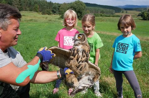 Zoo a zooparky středních Čech: Kam vyrazit na výlet。